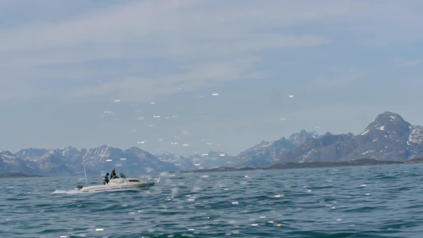 People on a boat on a sunny day