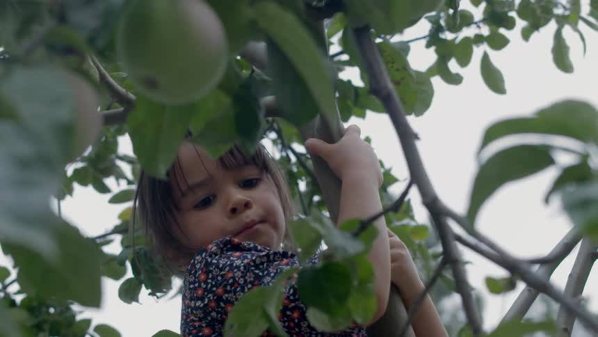 A girl climbs a tree during the day