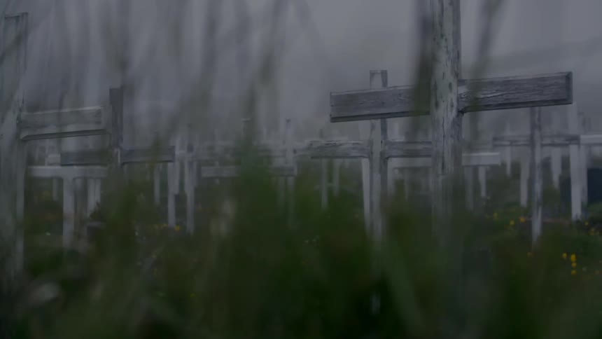 Wooden crosses cover a grassy field