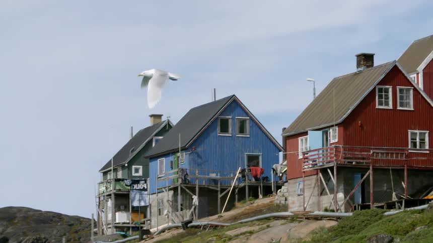 Bird flying in front of colorful houses on the hillside