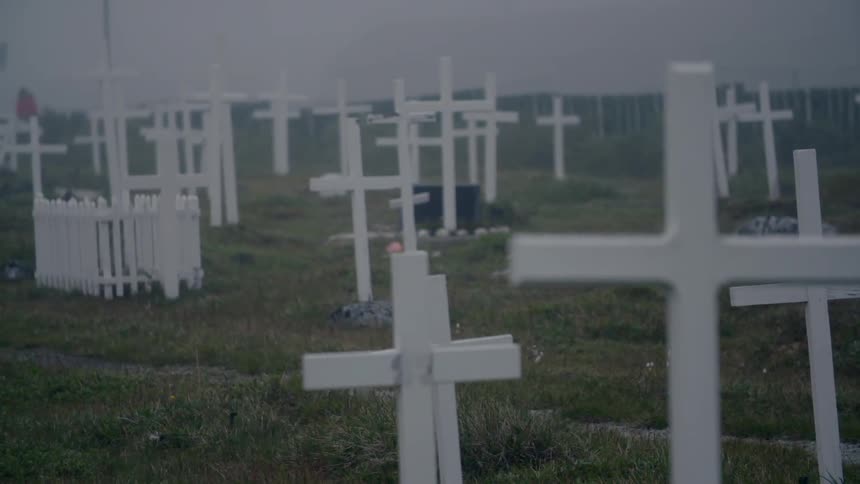 Simple white cross markers in a cemetery