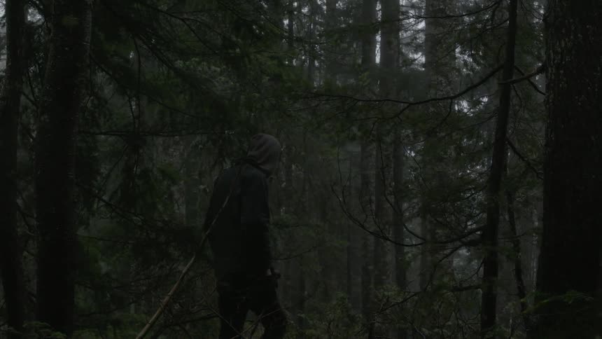 A man walks through a forest in the rain