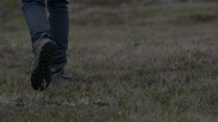 A person walks through a field