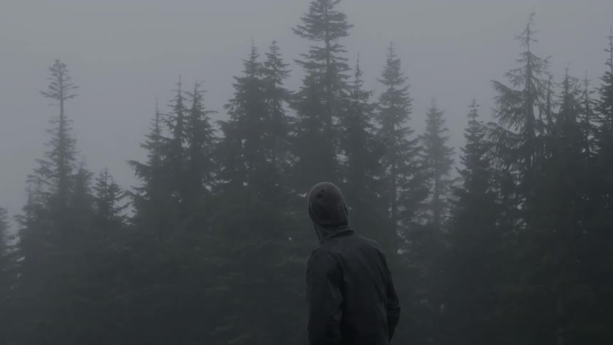 A man walks in a foggy forest