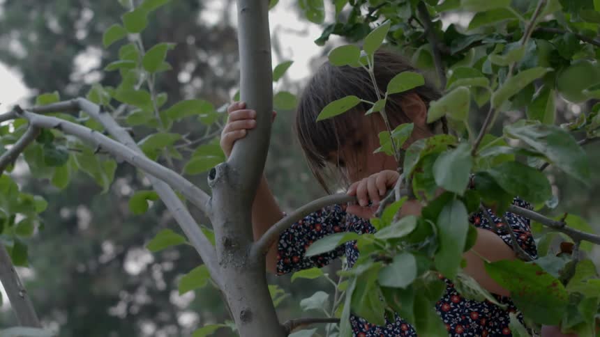 A young, brunette girl climbing a tree