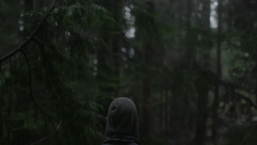 Person wearing a hoodie is walking in the forest on a gloomy day