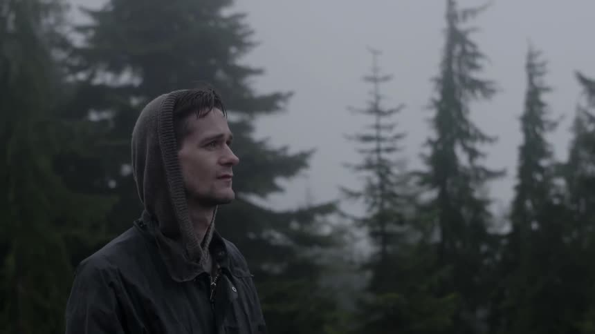 A man in a hooded jacket stares out into the forest, while the wind blows the branches of the trees