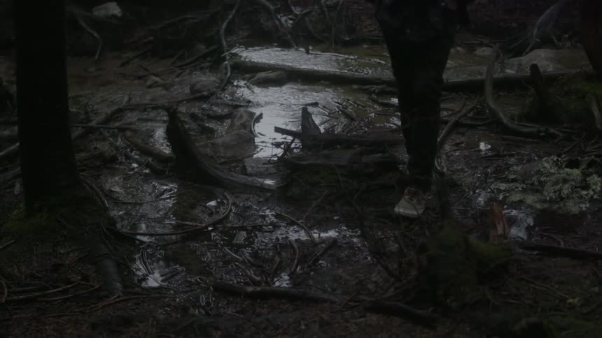 A person walking over shallow, running water and through mud in a wooded area