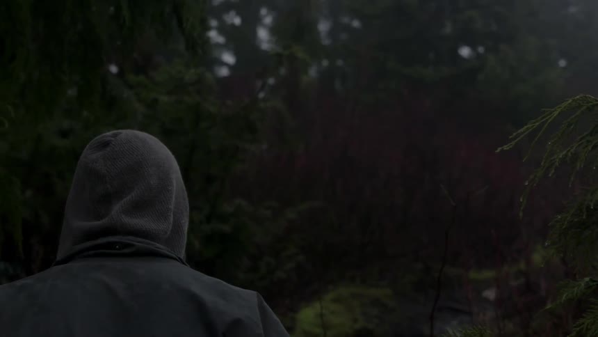 Person in a hood walking in a misty forest