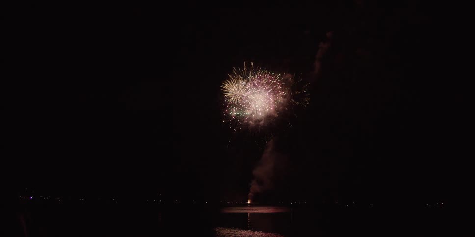 Fireworks explode in the dark night sky