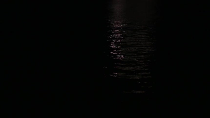 Moonlight reflects on a rippling body of water