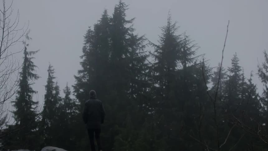 Person in a hood walking in a misty forest