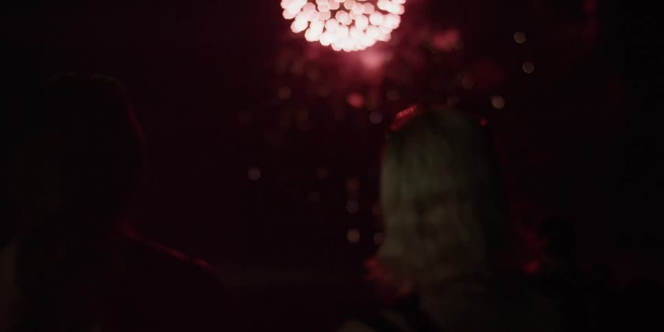 Fireworks explode in the night sky