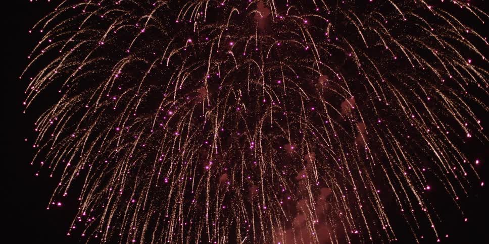 Fireworks going off in the night sky