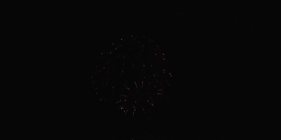 Fireworks explode in the dark night sky