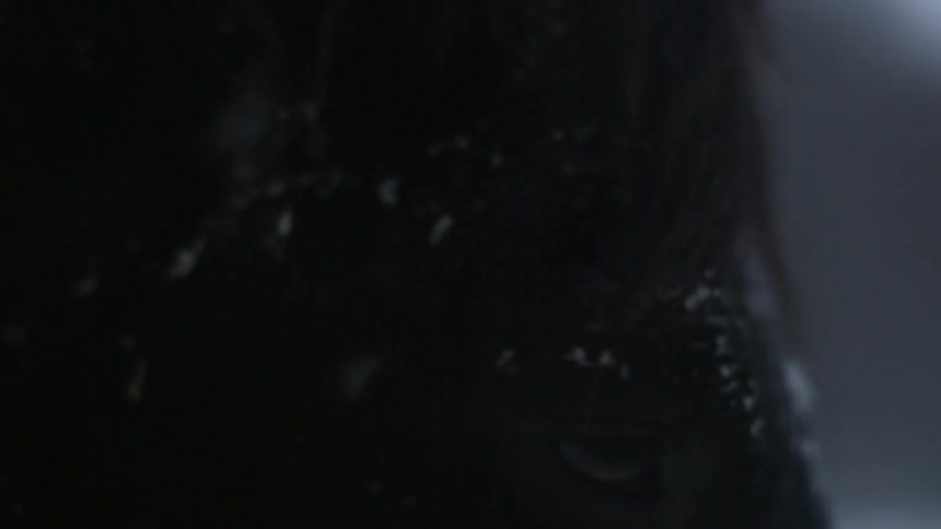 A horse stands outside in the snow