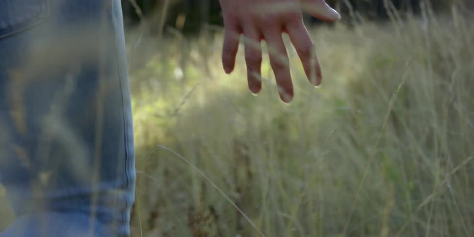 Person walking through a field, feeling the weeds on their hand
