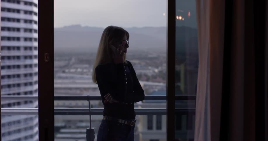 Business Woman In Hotel