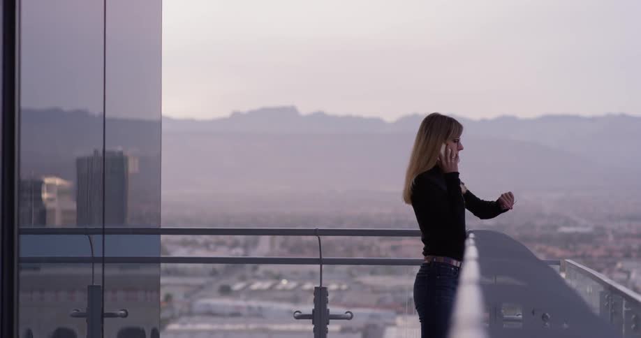 Business Woman In Hotel
