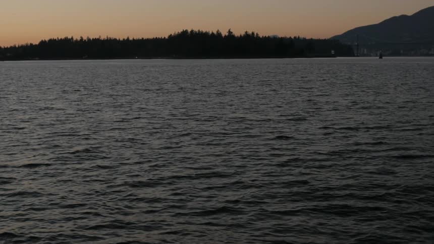 A view of shoreline trees in the distance as seen from a boat moving on a large lake