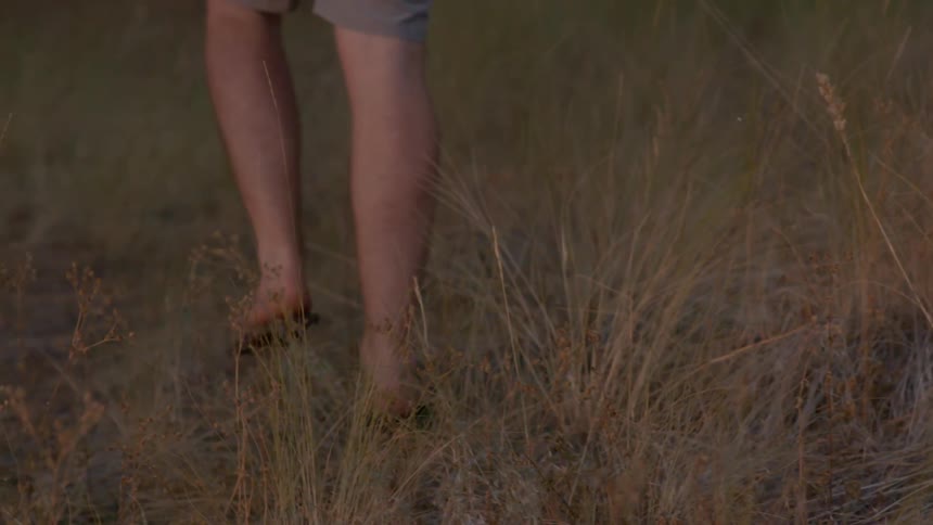 A man walks through a field of tall grass