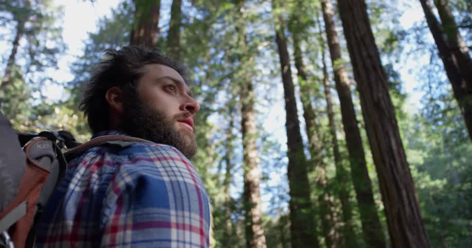 Man wearing a backpack stands in the woods and looks behind