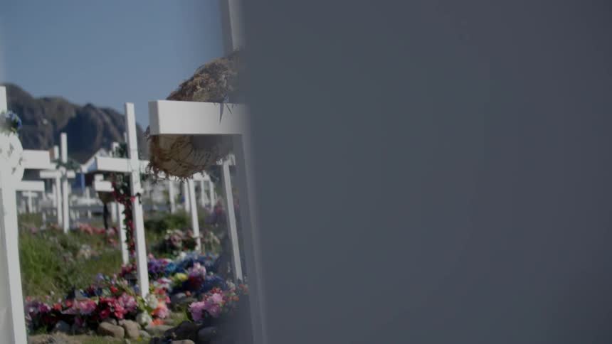 A field is filled with white crosses and flowers