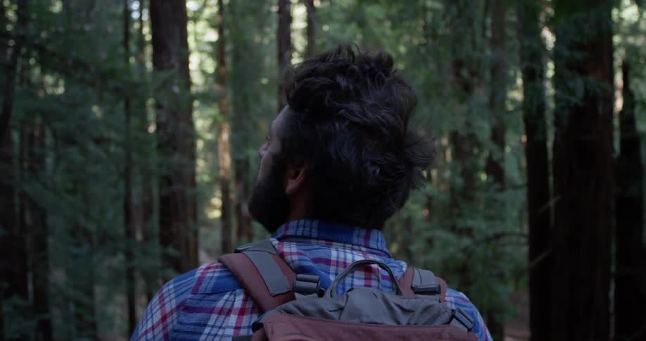 Man stands in the woods looking up at the tall trees