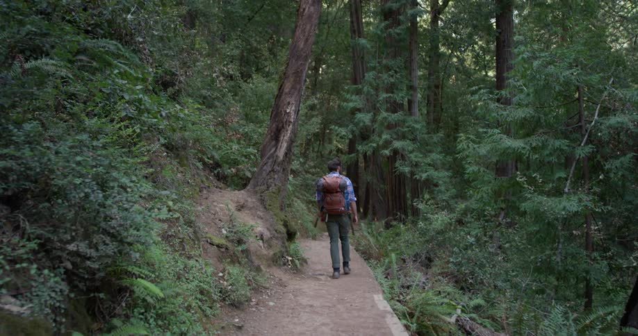 Man wearing a backpack hikes through the woods on a small path
