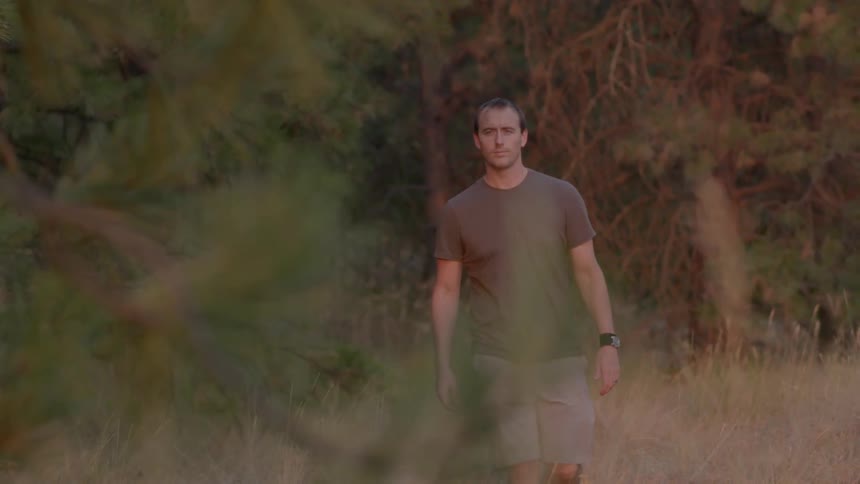 A man walks through a forest in the daytime