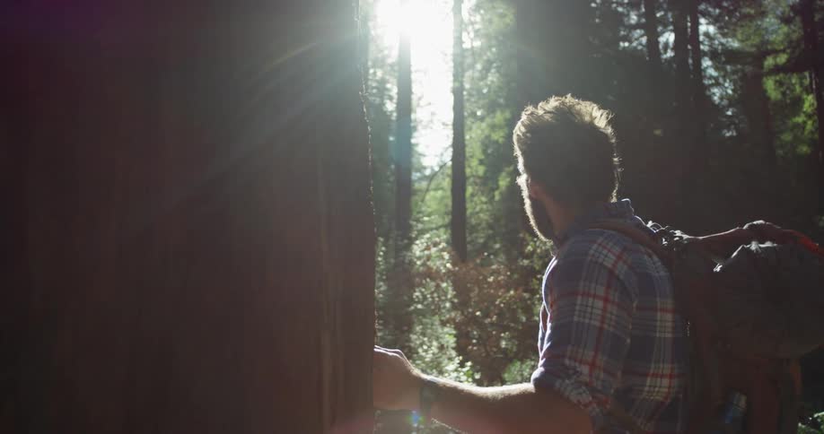 A man hiking in the woods looks out towards the sun