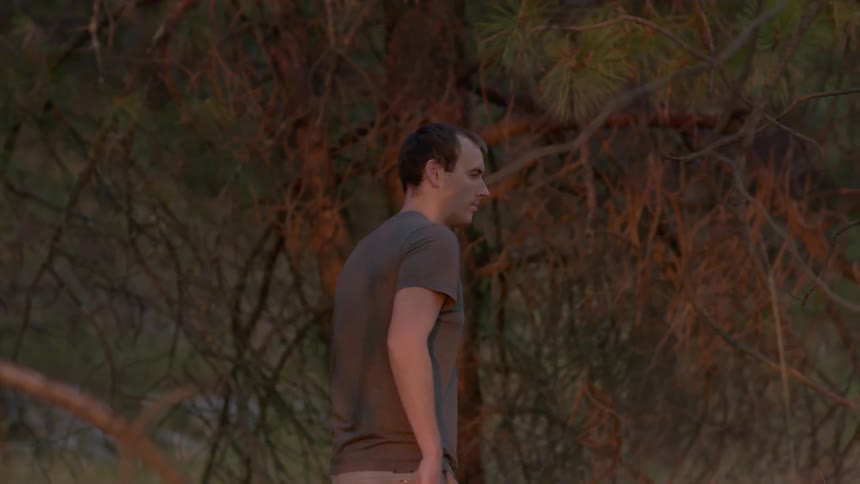 A man walks through the woods at dusk