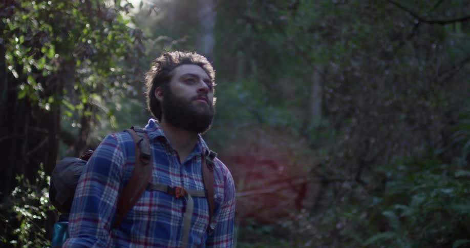 Man walks through the woods on a sunny day