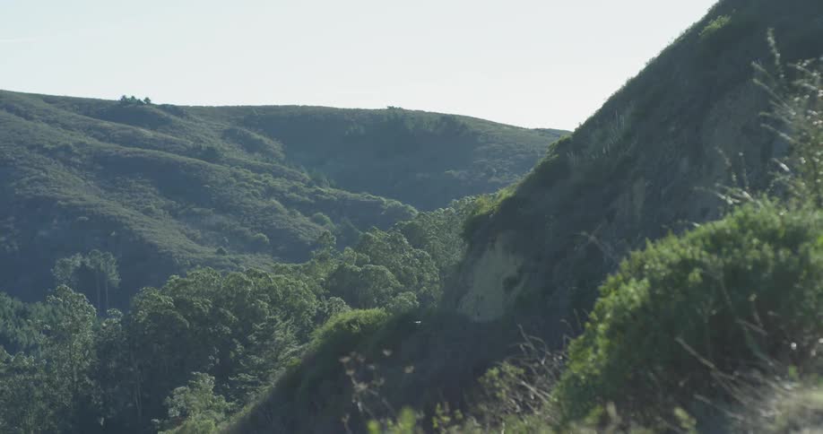 Grass and shrubs blow in the breeze on the mountain