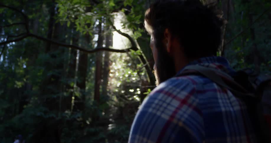 A man hikes in the woods