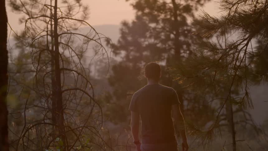 A man stands in the woods at dusk