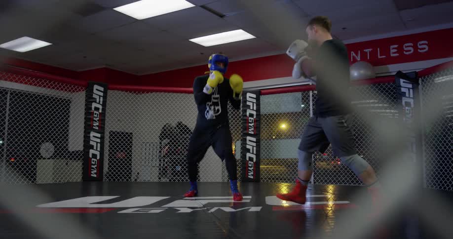Boxers spar in a fighting ring