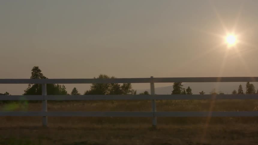 Driving by a field surrounded by a white fence