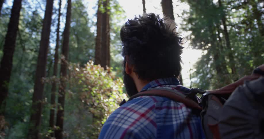 A man hiking looks around in the woods
