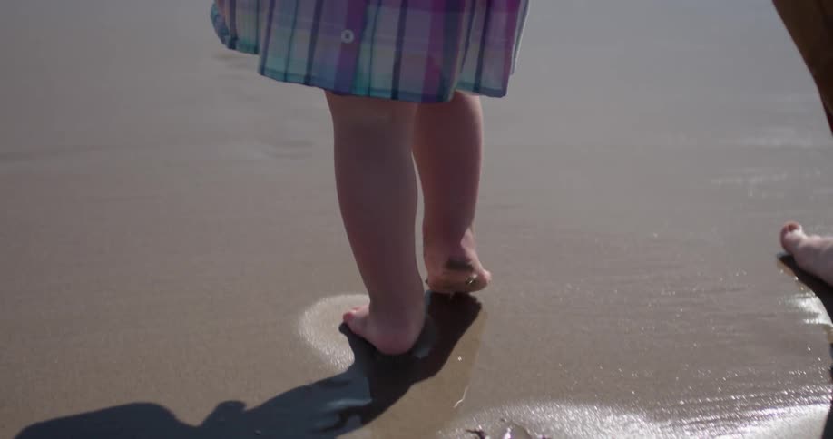 Adult and child walk on the sandy beach on a sunny day