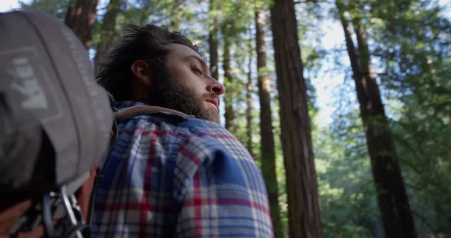 Man stands near tall trees in nature looking over