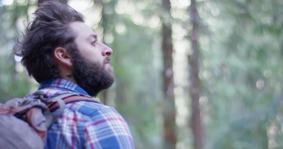 A hiker looks around in the woods