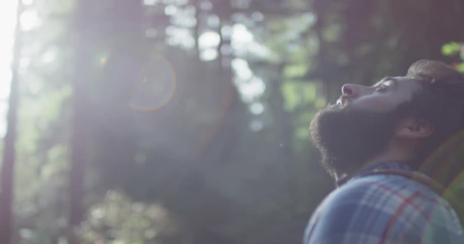 A hiker looks around in the woods