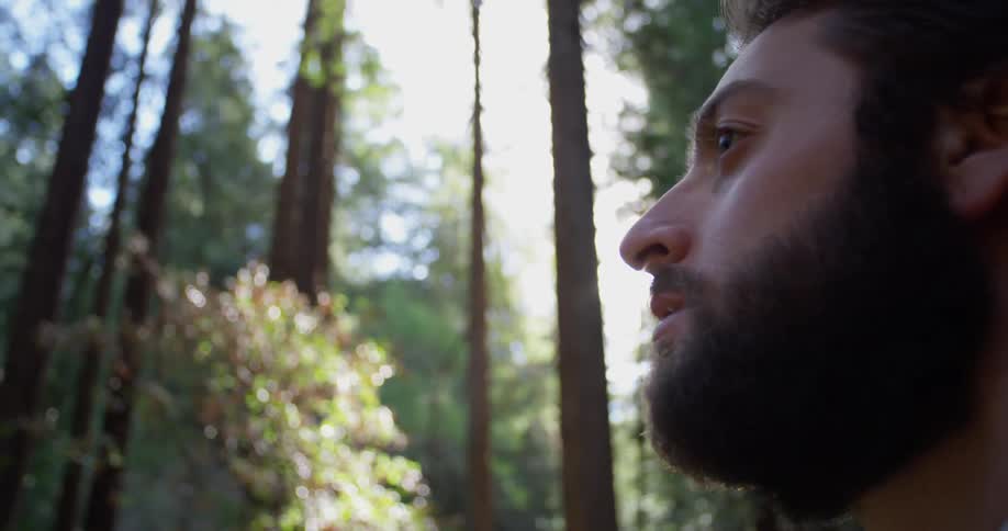 Man stands in the woods looking around