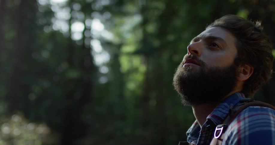 Man stands in the woods looking up on a sunny day