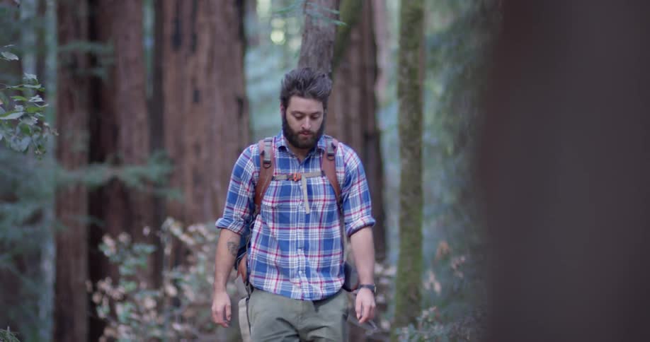 A hiker walks on a path in the woods