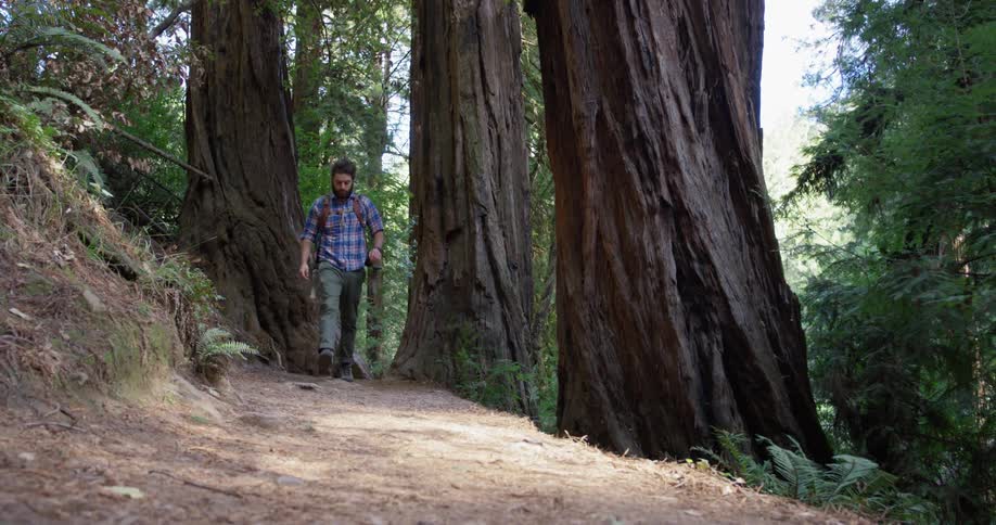 A hiker walks on the dirt trail