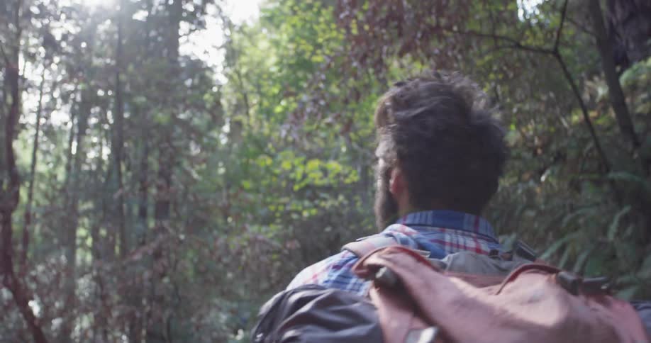 A hiker walks in the woods carrying a backpack