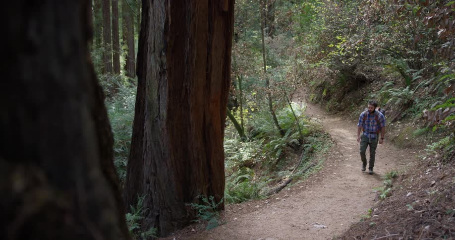 A man hikes in the woods