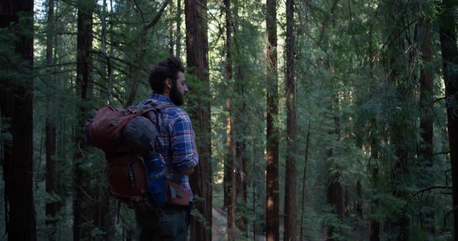 A hiker looks around in the woods